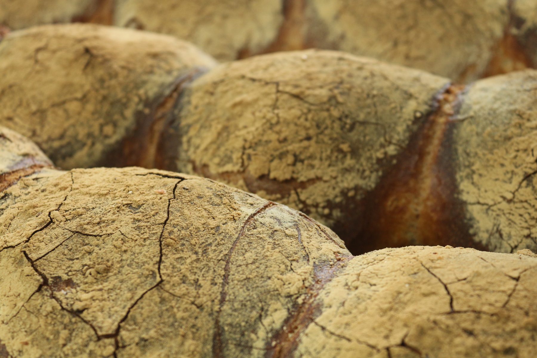 Maltese Bread