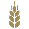 Gluten